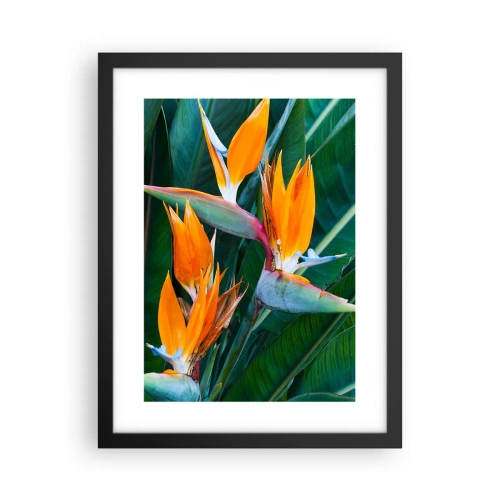 Poster în ramă neagră - Este o floare sau o pasăre? - 30x40 cm