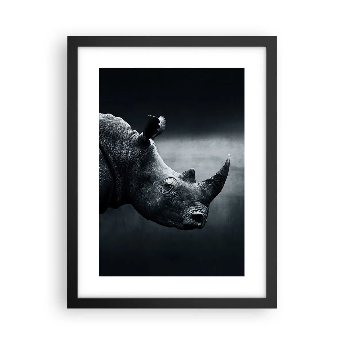 Poster în ramă neagră - Profil drept - 30x40 cm