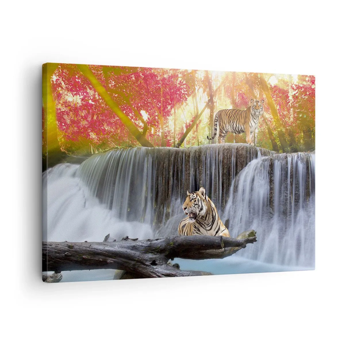 Tablou pe pânză Canvas - Tigri la o cascadă în pădurea de toamnă - 70x50cm - Peisaj suprarealist    - Decorațiune modernă pentru perete pentru living și dormitor ARTTOR