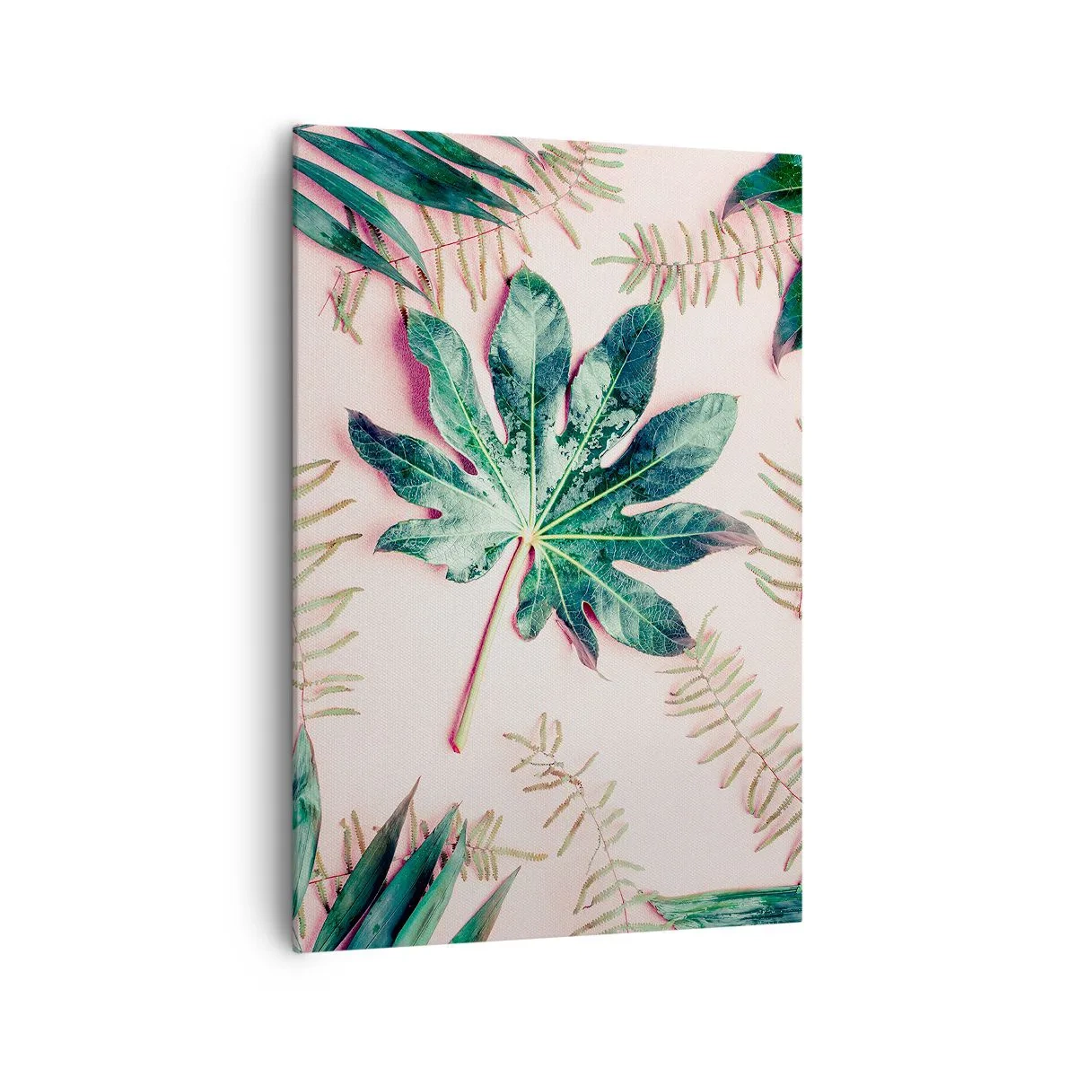 Tablou pe pânză - Studiu de verdeață pe un fundal roz - 70x100 cm