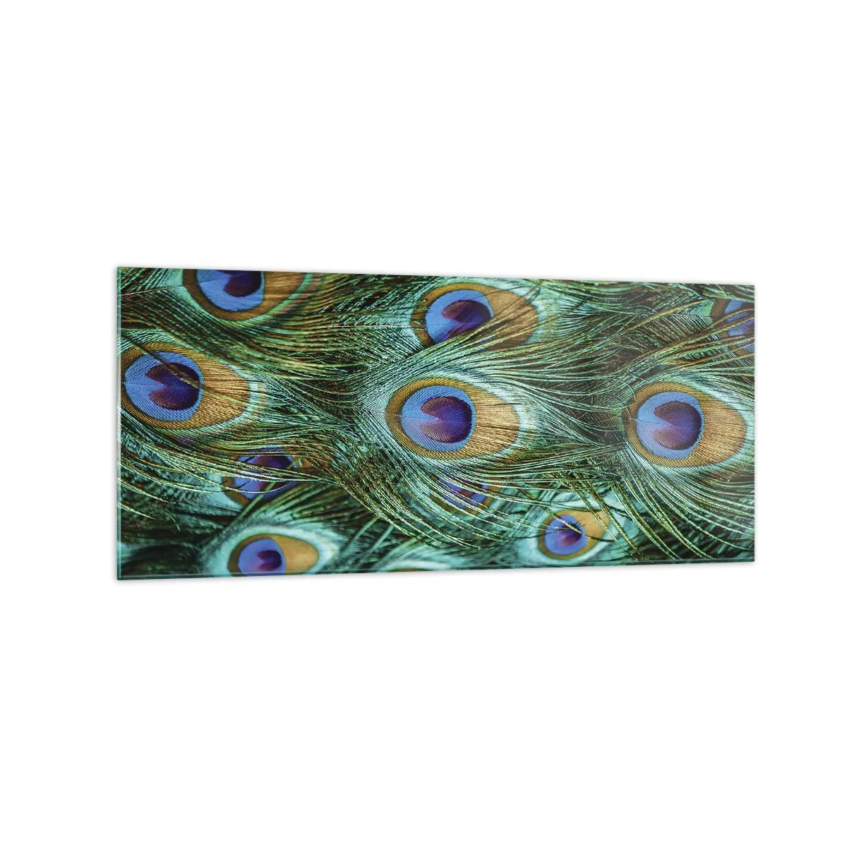 Tablou pe sticlă - O privire cu ochi de păun - 120x50 cm