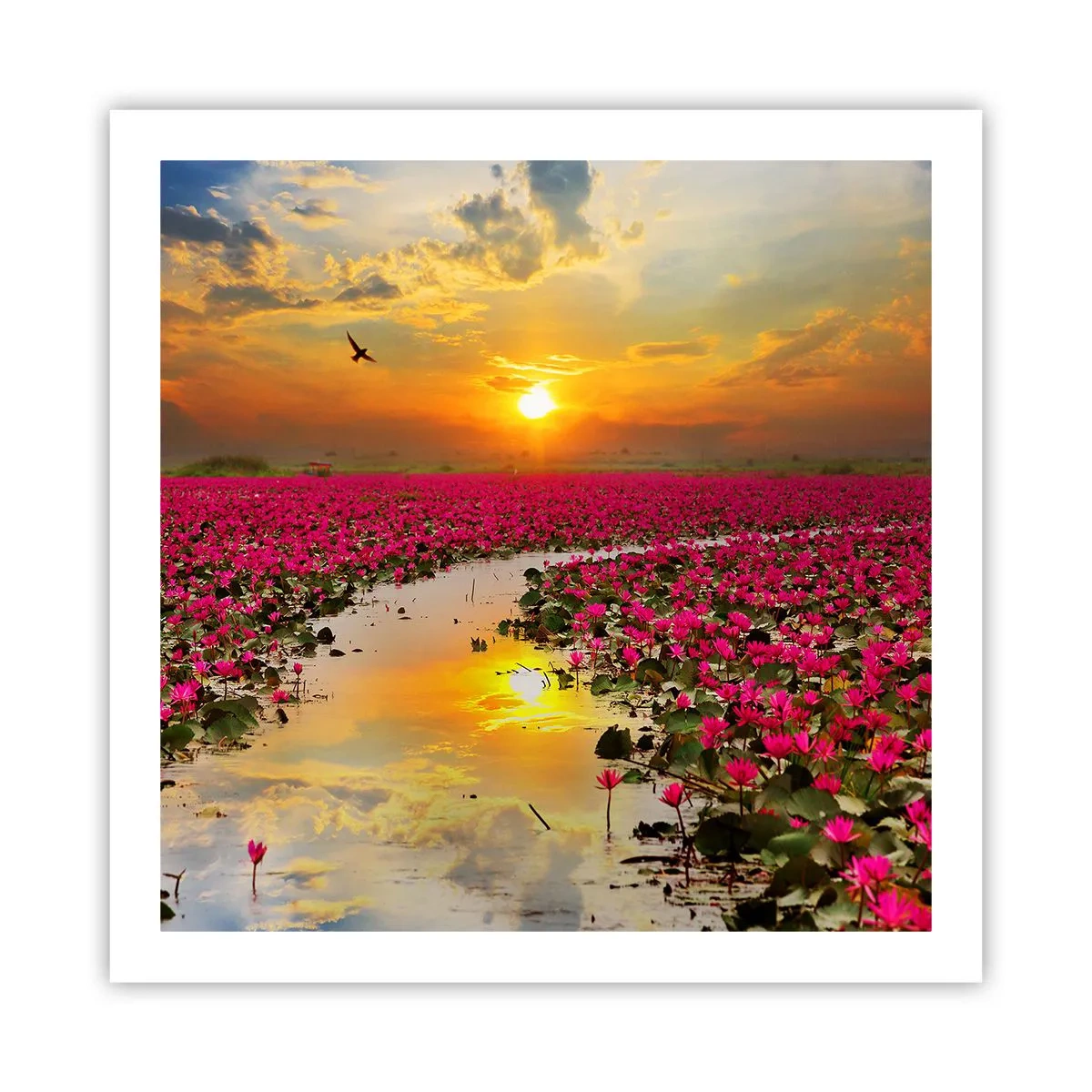 Poster - Viața secretă a lacului - 60x60 cm