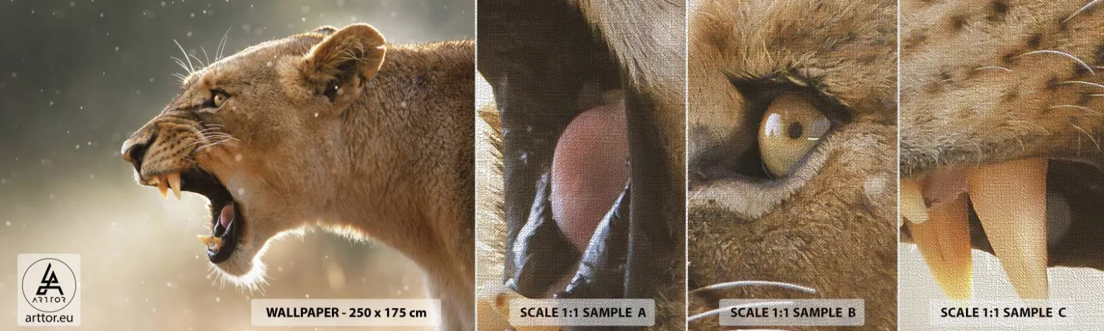 Mostră tapet Premium Canvas - Încearcă să nu asculți - Animale, Leu, Africa - 100x30 cm