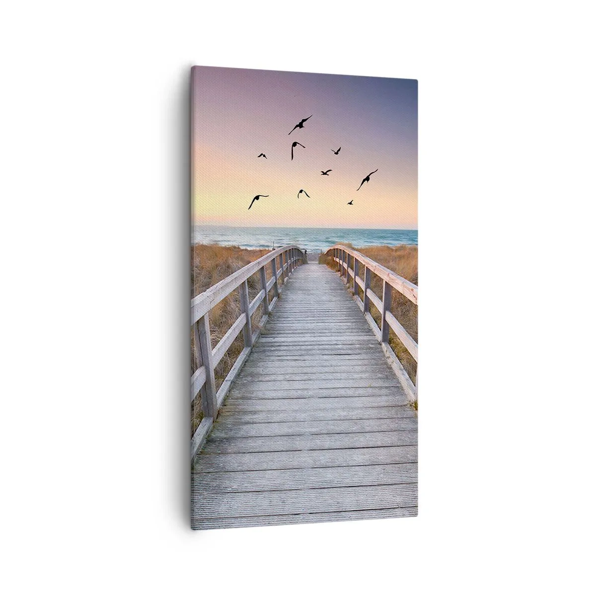 Tablou pe pânză - Spațiul pentru a zbura - 55x100 cm