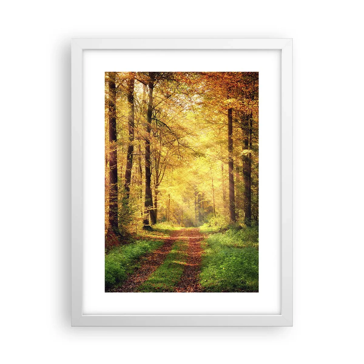Poster în ramă albă - Tăcere de aur de pădure - 30x40 cm