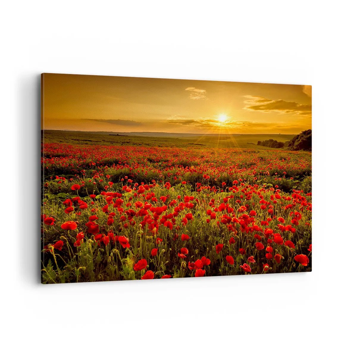 Tablou pe pânză - Printre valuri de pajiști care zumzăie, printre potop de flori - 100x70 cm