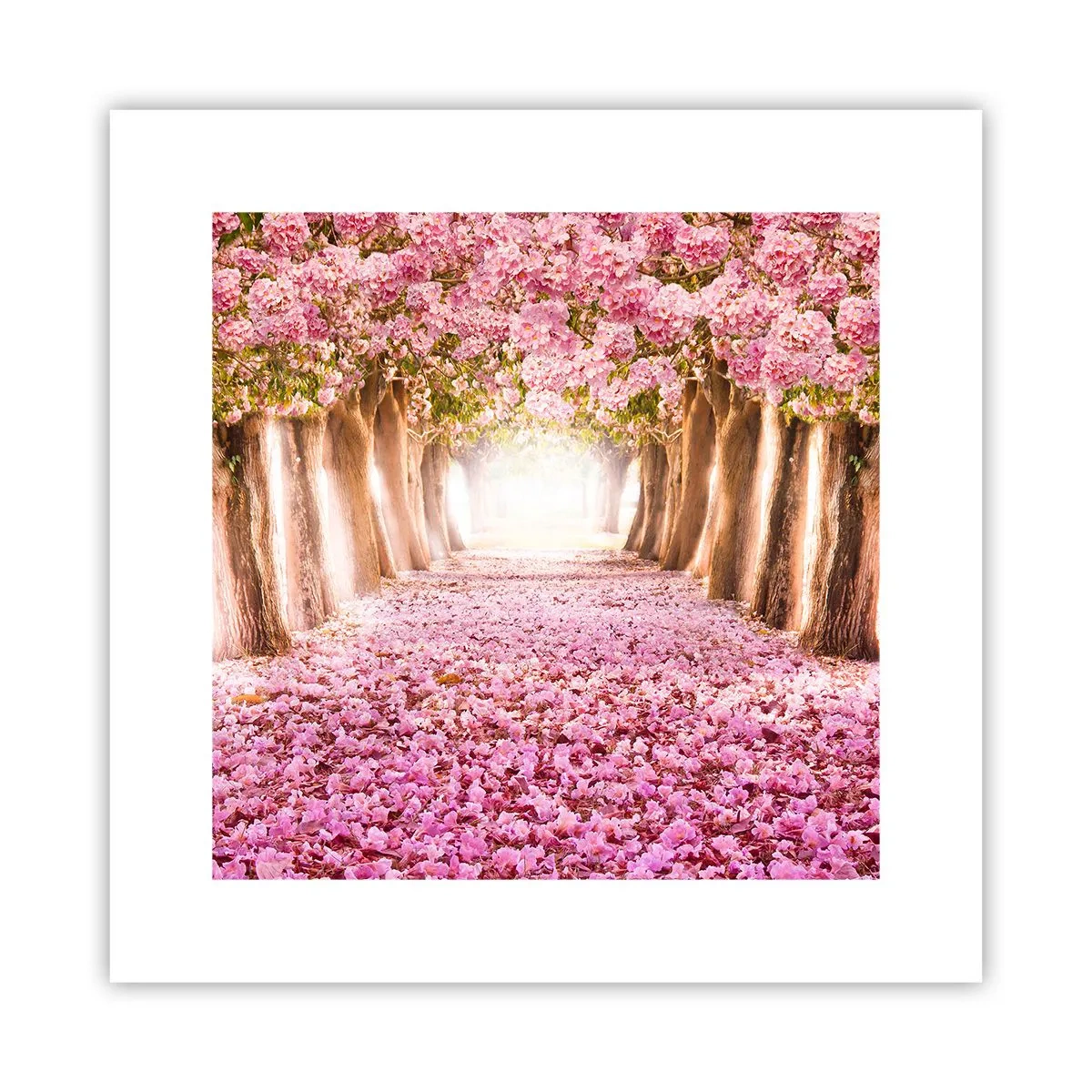 Poster - Drumul spre paradis - 30x30 cm
