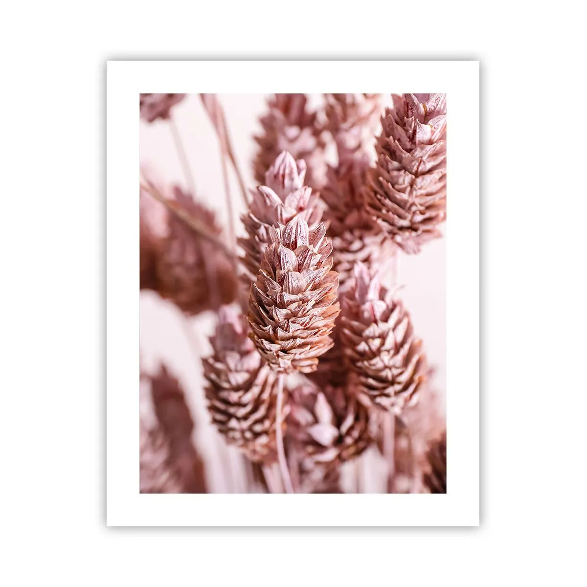 Poster - Aparent discrete - 40x50 cm
