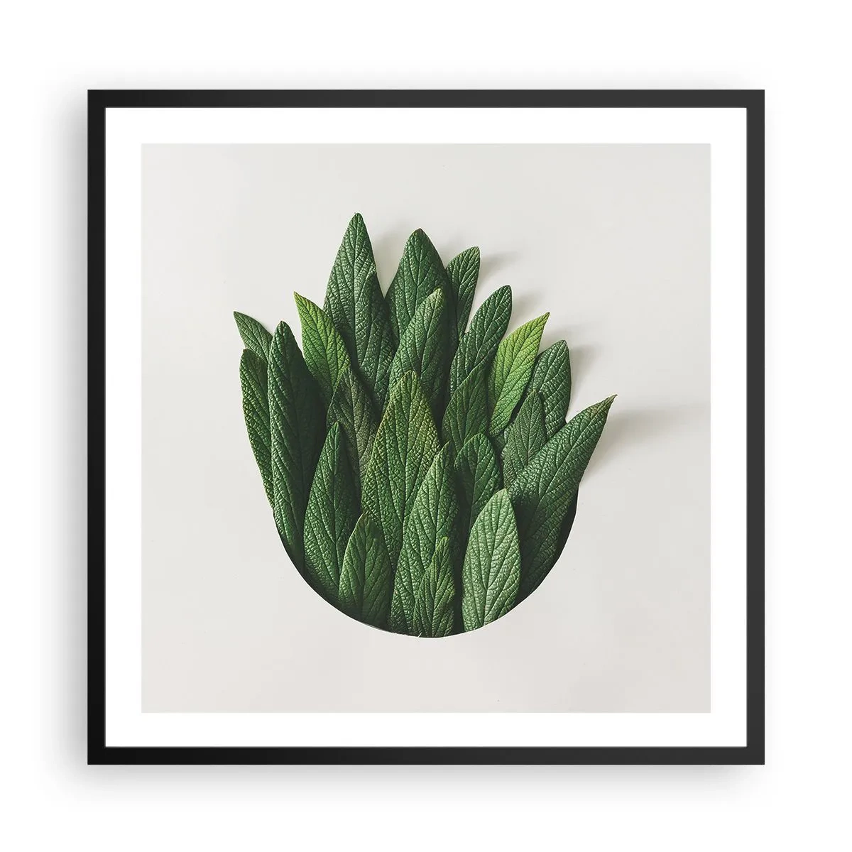 Poster în ramă neagră - Curiozitatea nestăvilită - 60x60 cm