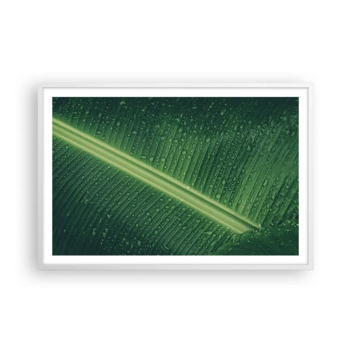 Poster în ramă albă - Structura verdelui - 91x61 cm