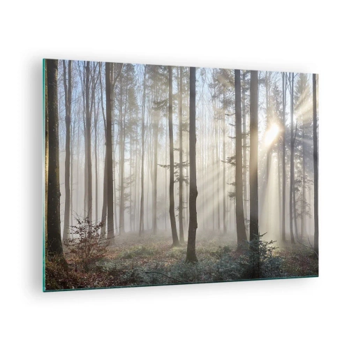 Tablou pe sticlă - Razele soarelui de dimineață pătrund în pădurea cețoasă - 70x50cm - Ceața s-a trezit și ea - Decorațiune modernă pentru perete pentru living și dormitor ARTTOR