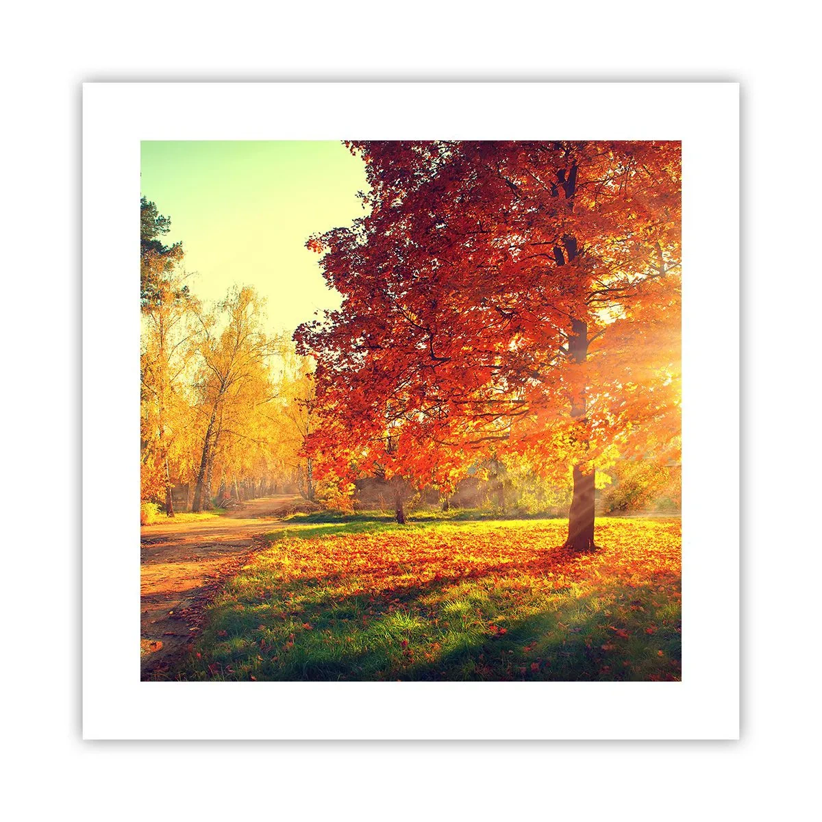 Poster - Roșcatul este frumos - 40x40 cm