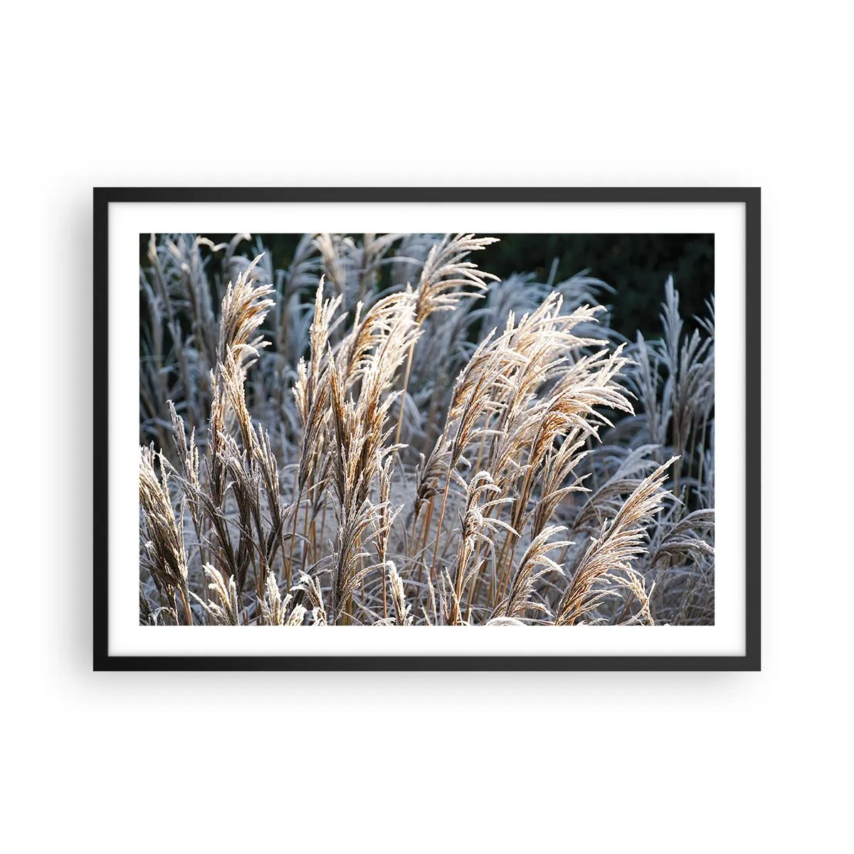 Poster în ramă neagră - Împodobite cu brumă - 70x50 cm