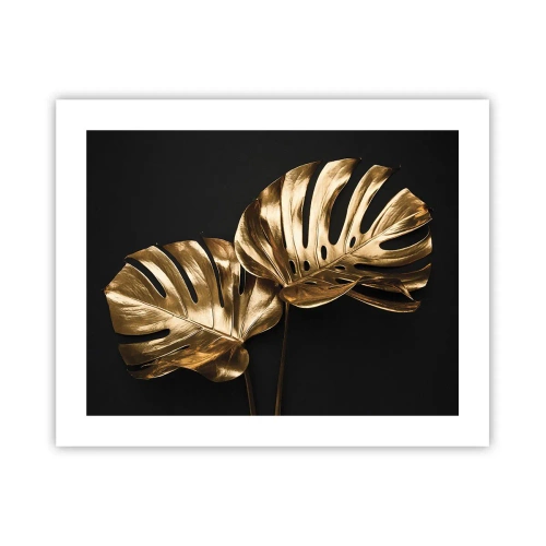 Poster - Comorile naturii - 50x40 cm