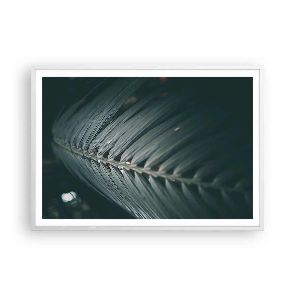 Poster în ramă albă - Precizia naturii - 100x70 cm