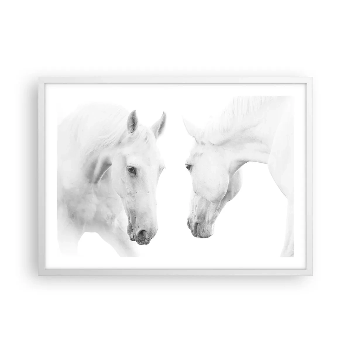 Poster în ramă albă - Este aceasta o prietenie...? - 70x50 cm