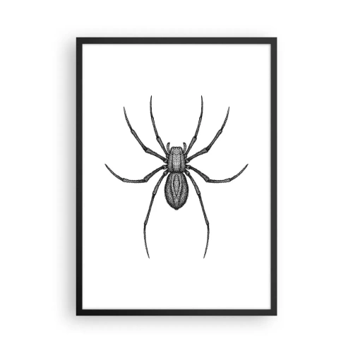 Poster în ramă neagră - Ilustrație detaliată a unui păianjen pe fundal alb - 50x70cm - Precizie tulburătoare - Decorațiune modernă pentru perete pentru living și dormitor ARTTOR