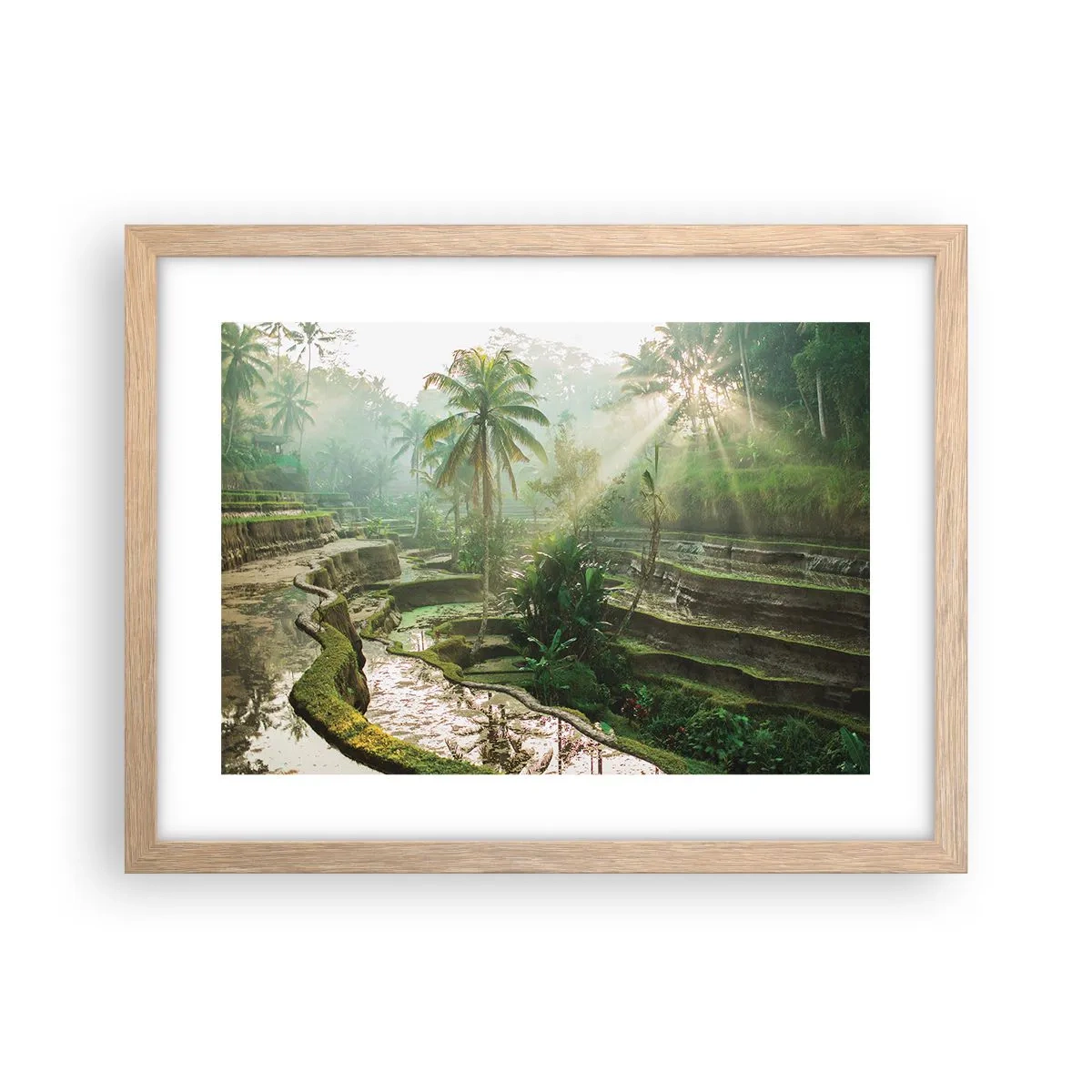 Poster în ramă de stejar deschis - Crescând la soare - 40x30 cm