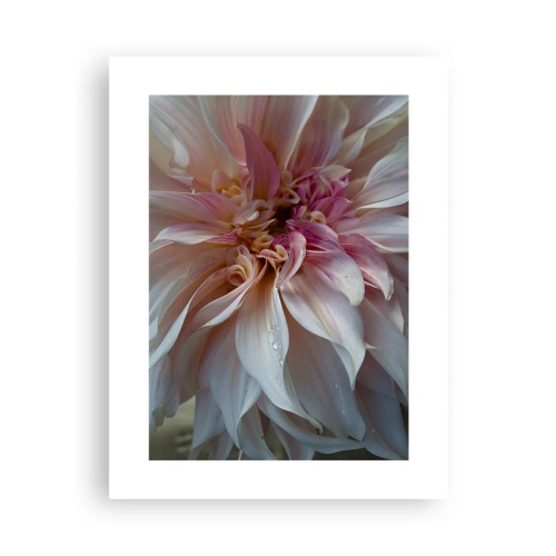 Poster - Prospețime înfloritoare - 30x40 cm