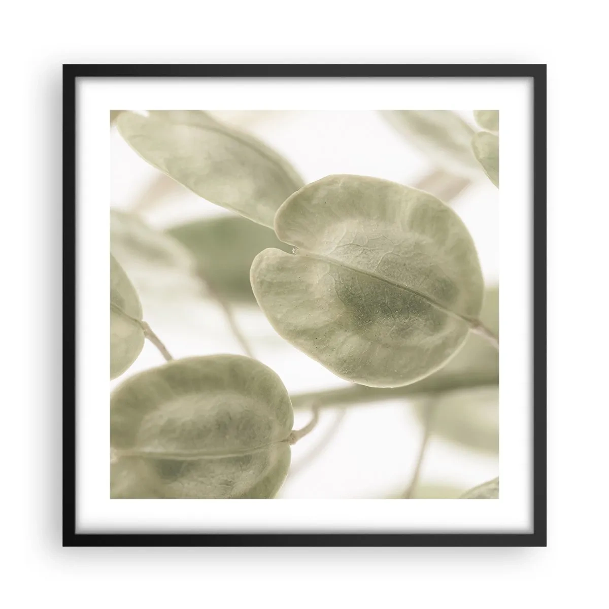 Poster în ramă neagră - La început au fost frunzele... - 50x50 cm
