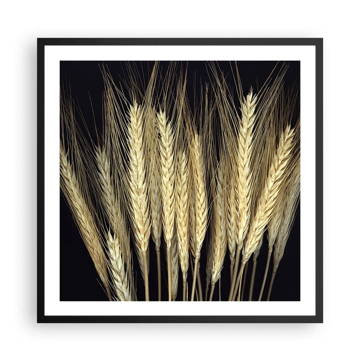 Poster în ramă neagră - Magie rustică - 60x60 cm