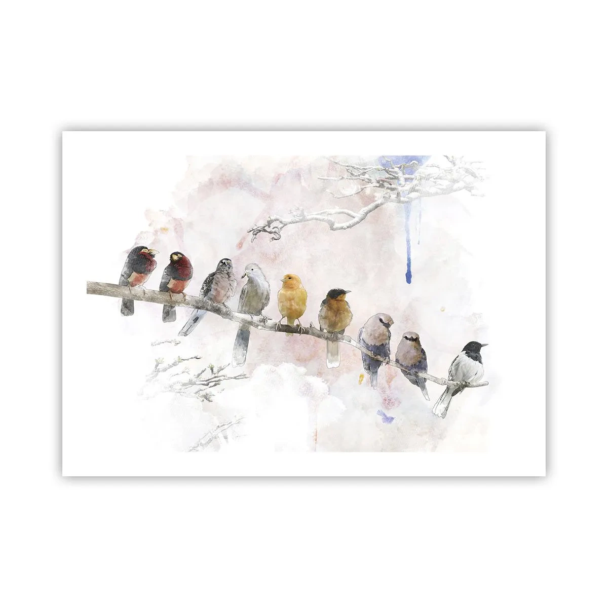 Poster - Întâlnire înaripată - 70x50 cm