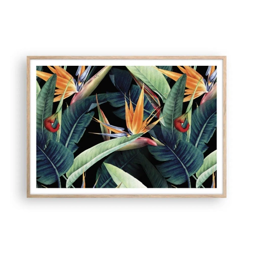 Poster în ramă de stejar deschis - Florile de flacără ale tropicelor - 100x70 cm