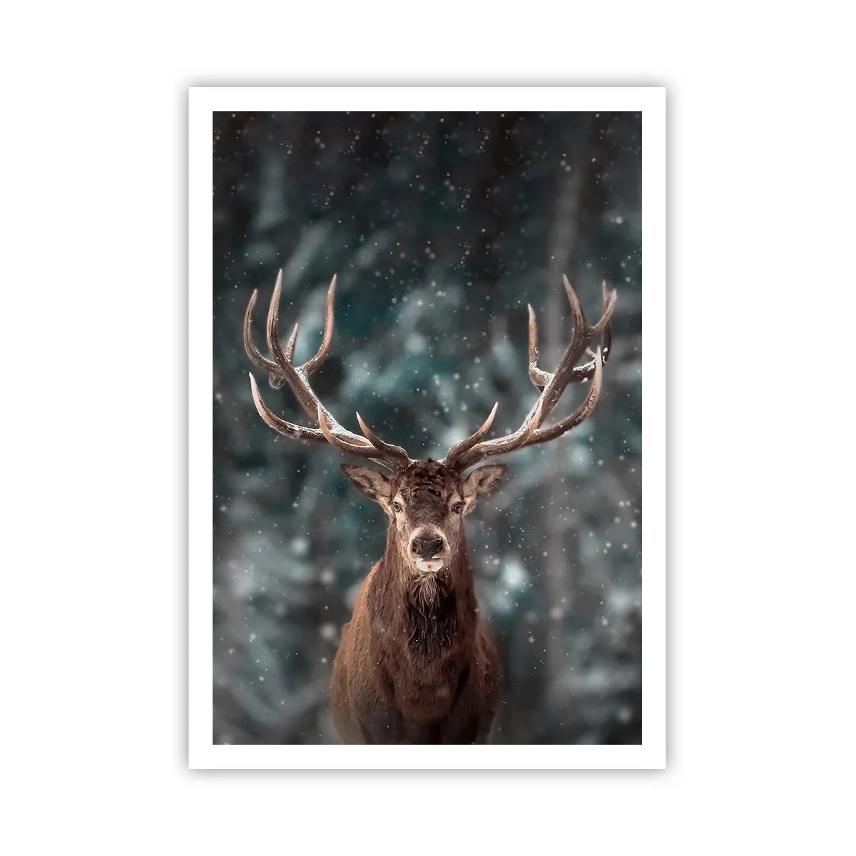Poster - Regele pădurii a fost încoronat - 70x100 cm