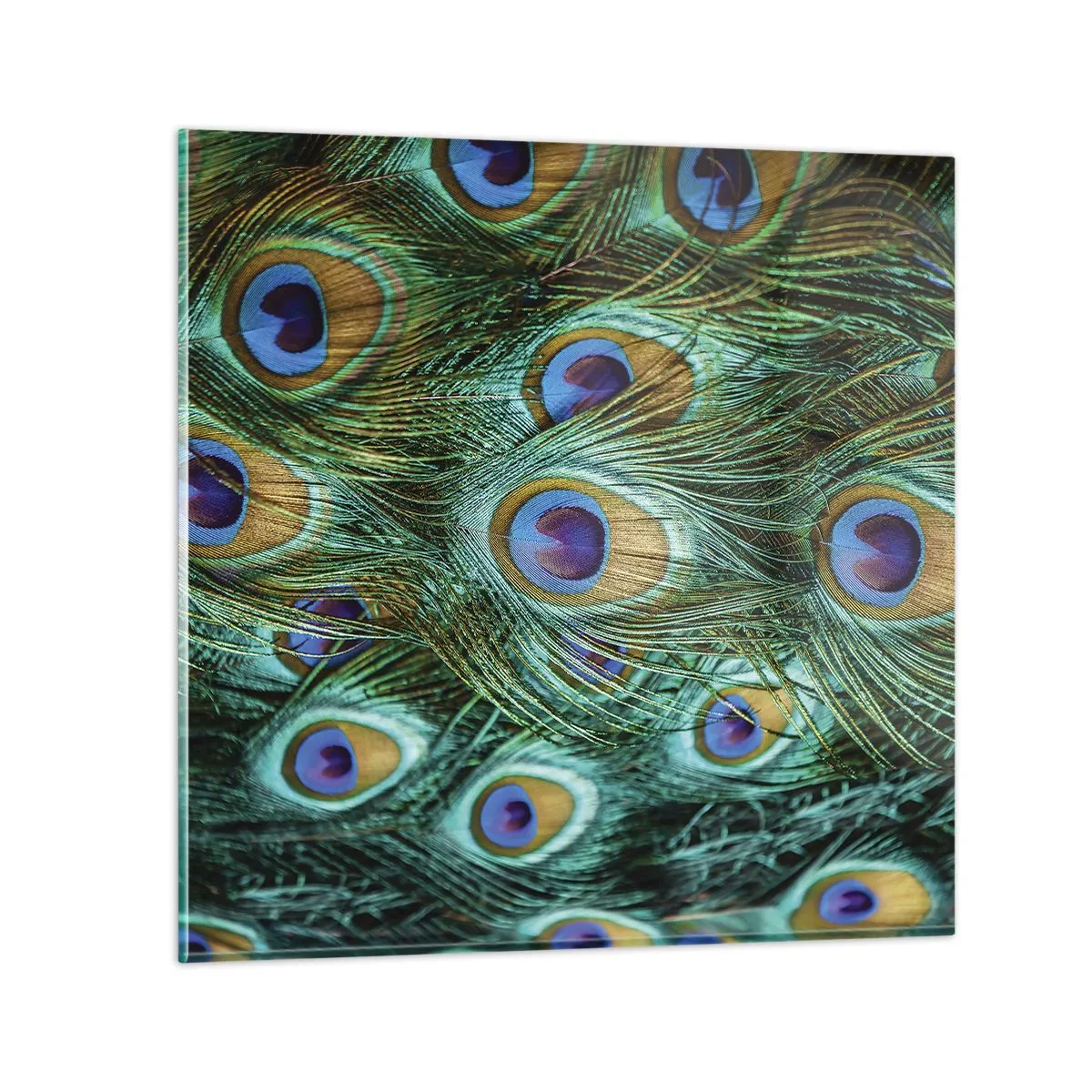 Tablou pe sticlă - O privire cu ochi de păun - 30x30 cm