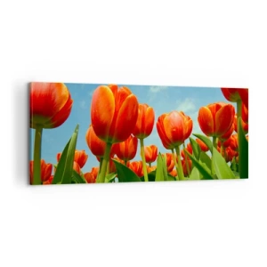 Tablou pe pânză - Doar cerul albastru - 100x40 cm