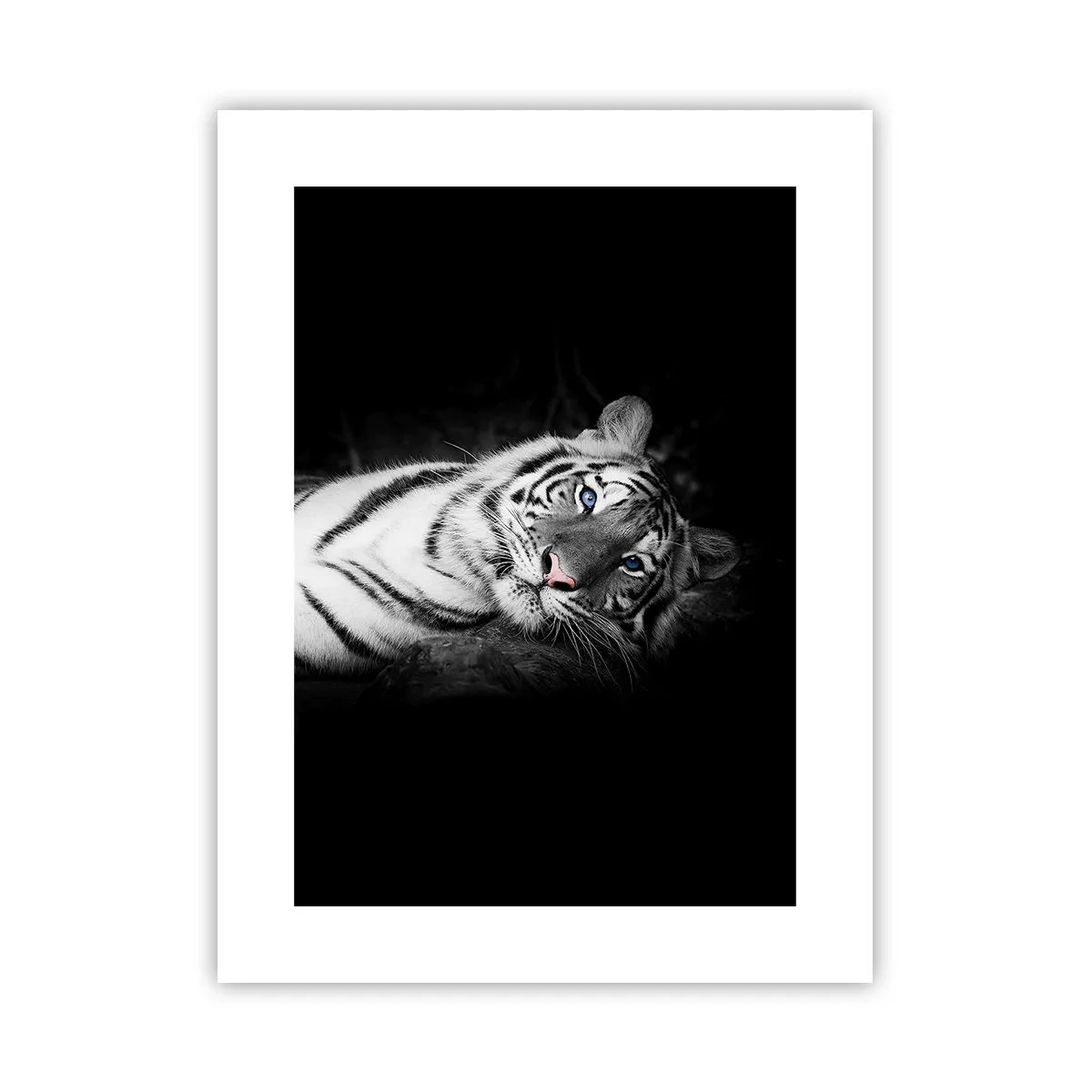 Poster - Sălbăticie și pace - 30x40 cm