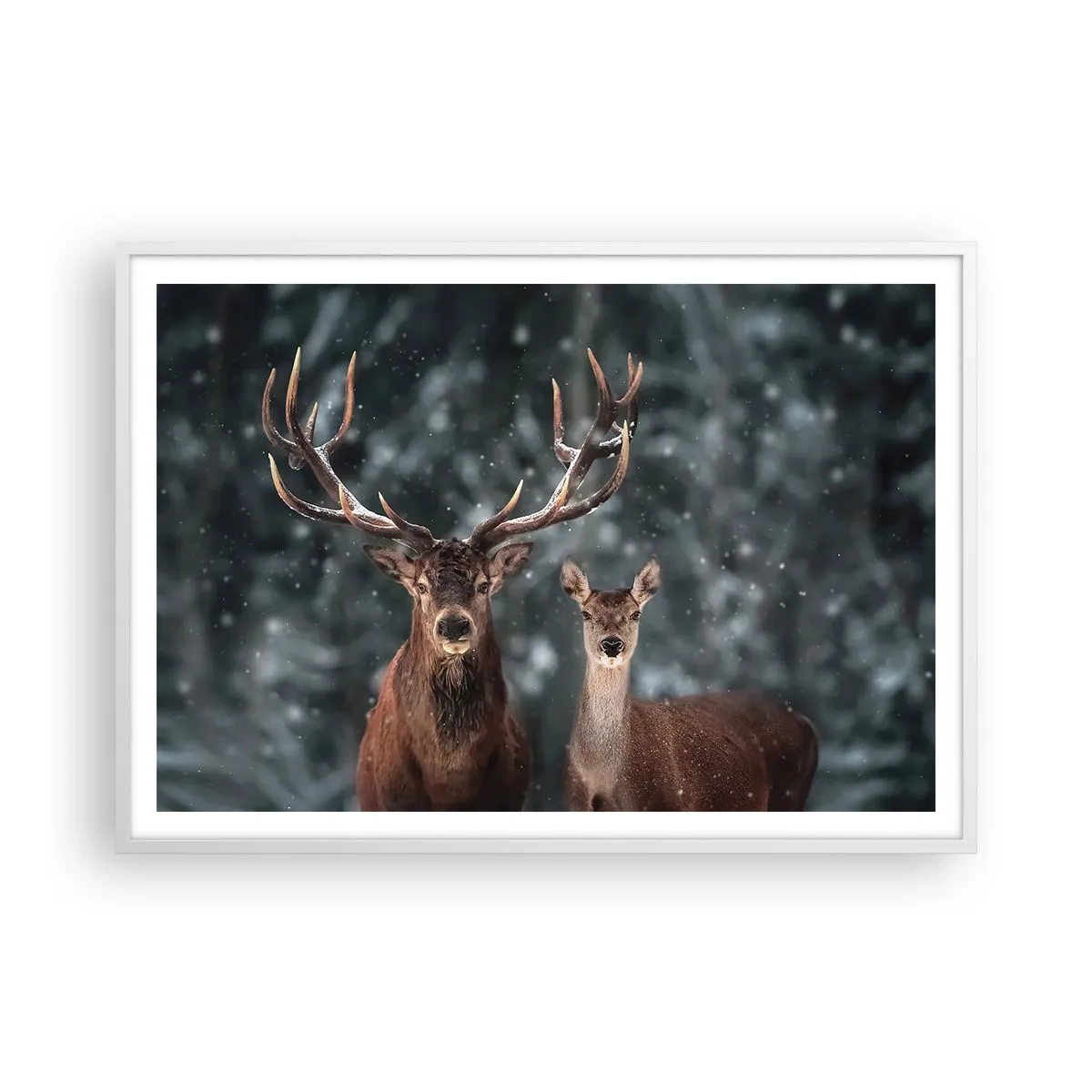 Poster în ramă albă - Stăpânul pădurii și soția sa - 100x70 cm