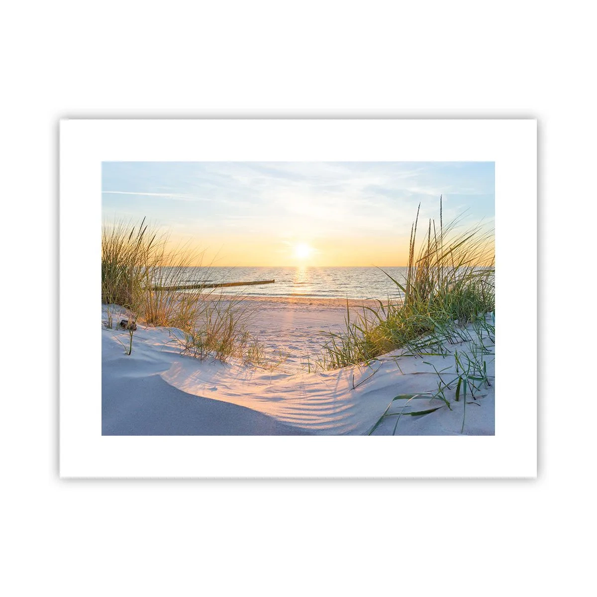 Poster - Zumzet de mare, o plajă sălbatică printre ierburi... - 40x30 cm