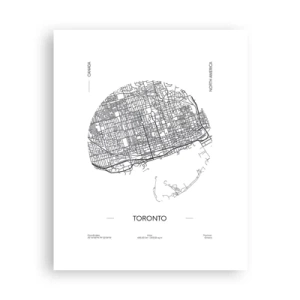 Poster - Anatomia Toronto - 40x50 cm