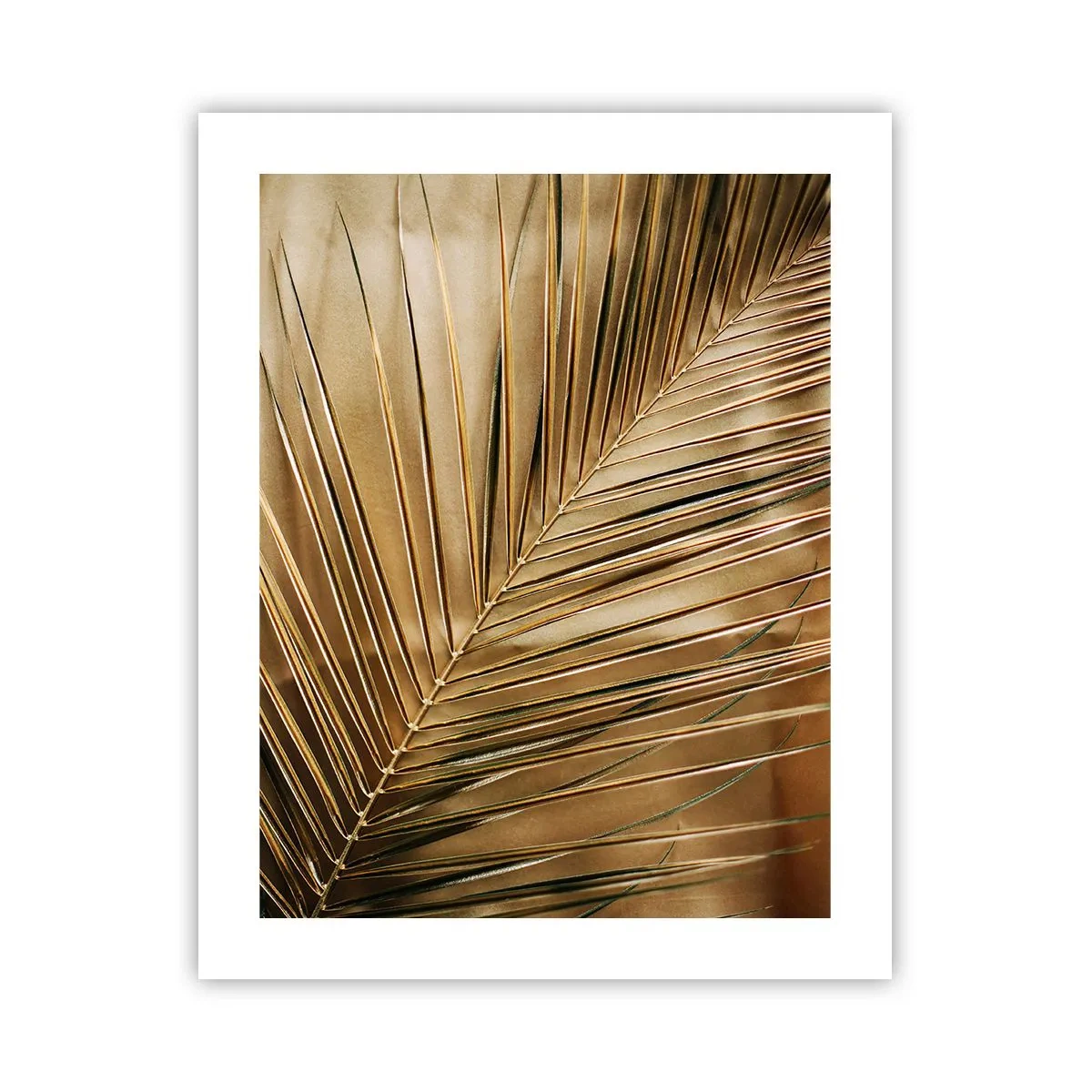 Poster - Colonadă naturală - 40x50 cm