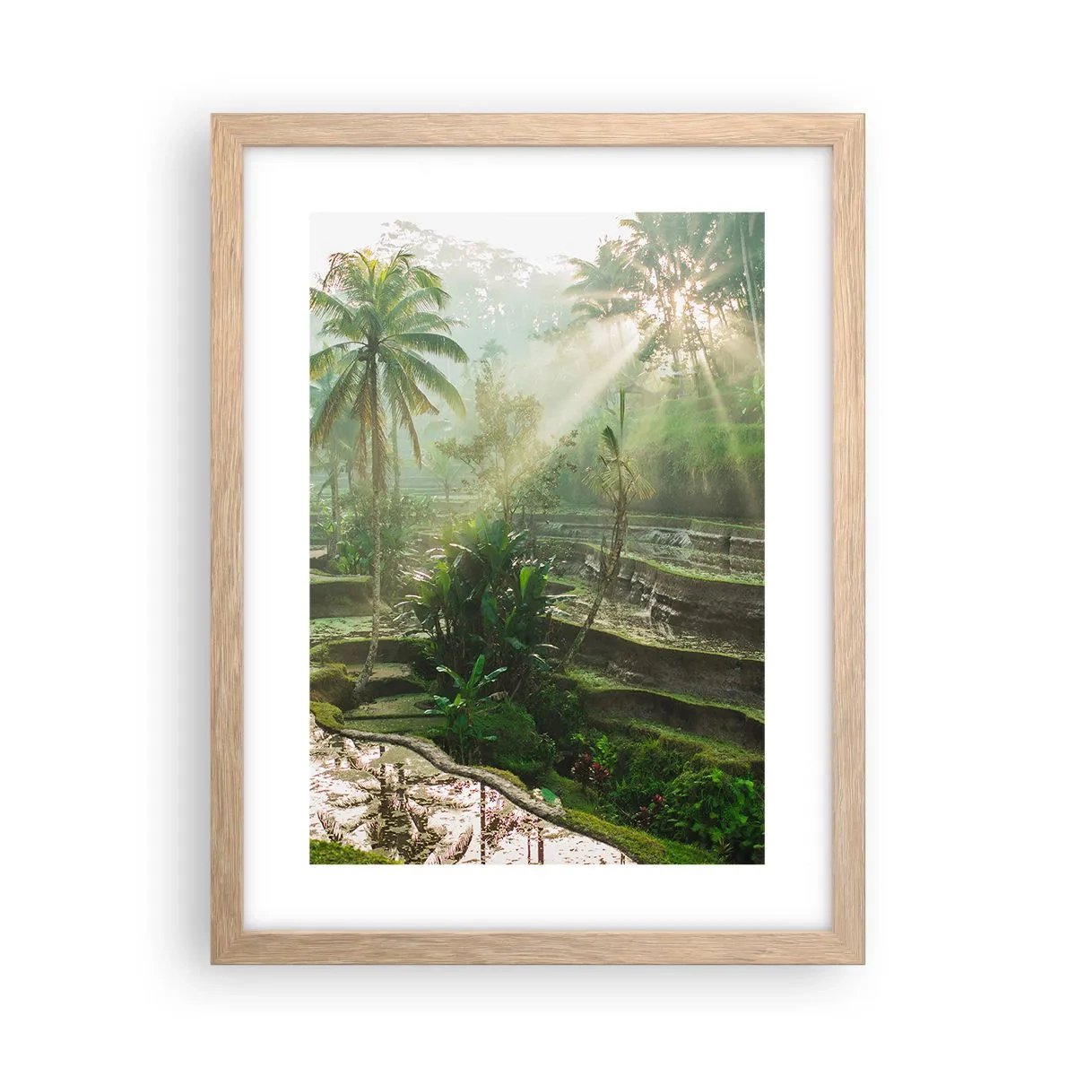 Poster în ramă de stejar deschis - Crescând la soare - 30x40 cm