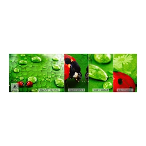 Mostră tapet autocolant Deluxe Sticker - Întâlnire în verde - Natură, Buburuza, O picătură de apă - 100x30 cm