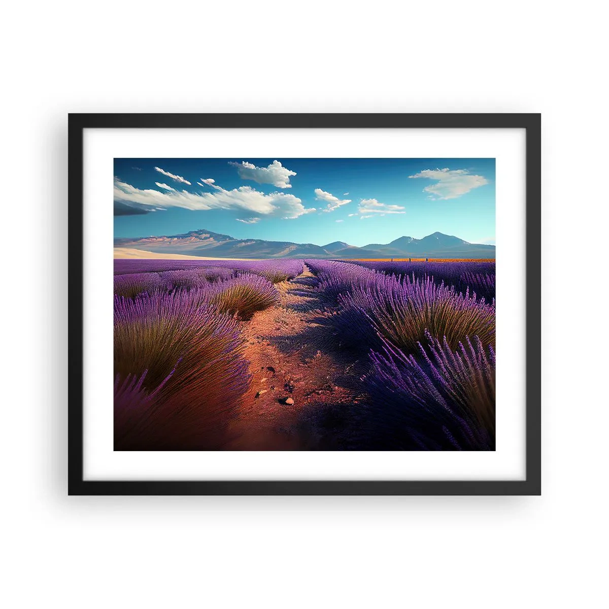 Poster în ramă neagră - Câmpuri parfumate - 50x40 cm