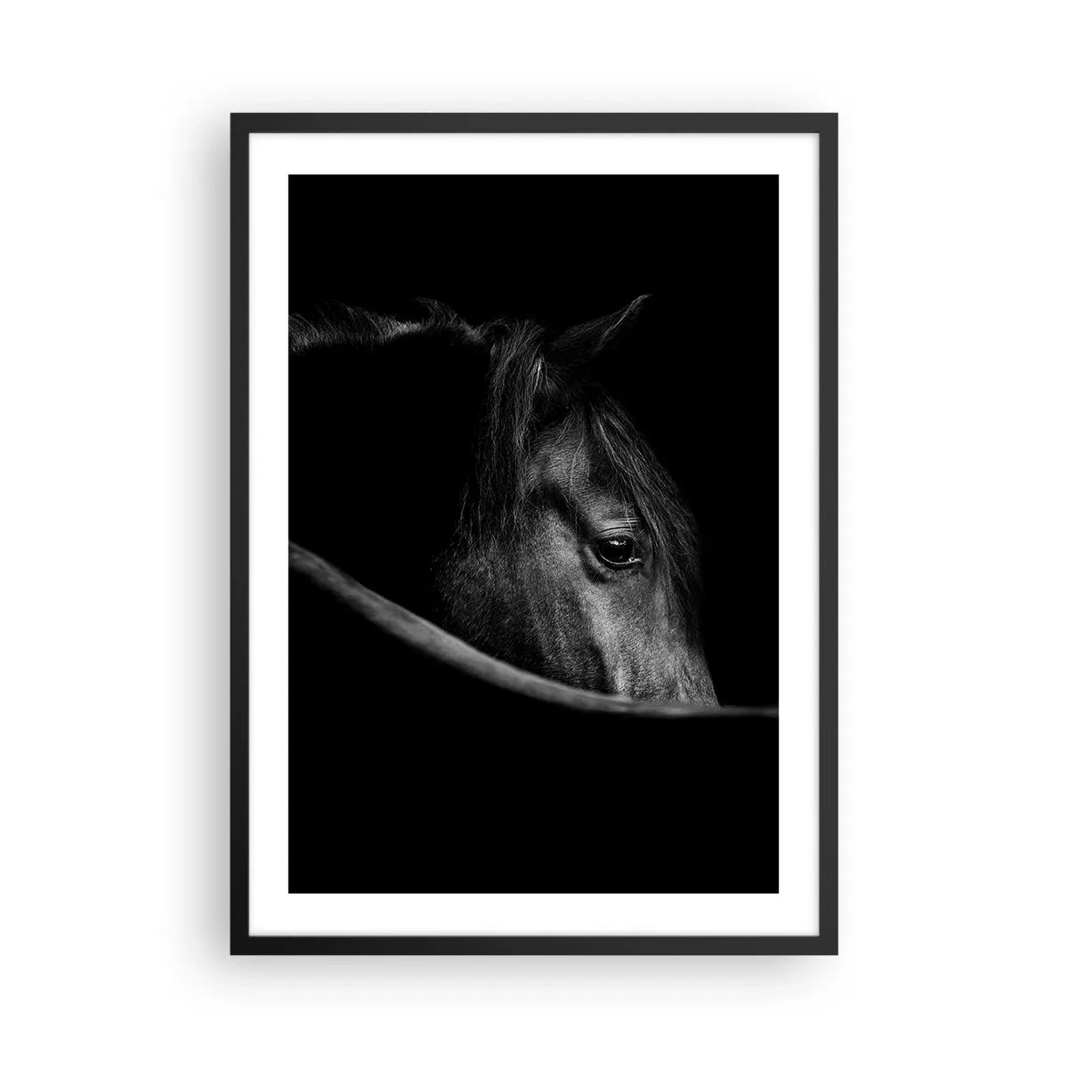 Poster în ramă neagră - Portret alb-negru al unui cal într-o abordare artistică - 50x70cm - Prințul negru - Decorațiune modernă pentru perete pentru living și dormitor ARTTOR