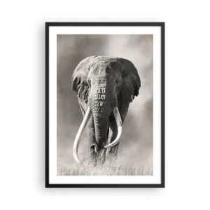 Poster în ramă neagră - Portret monocrom al unui elefant maiestuos - 50x70cm - Patriarh african - Decorațiune modernă pentru perete pentru living și dormitor ARTTOR
