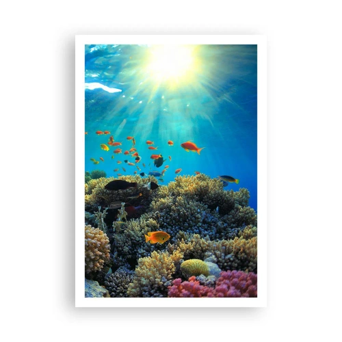Poster - Comori subacvatice - 70x100 cm