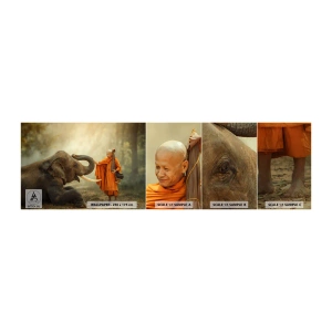 Mostră de Tapet Standard Eco - Întâlnire în călătorie - Asia, Elefant, Călugăr - 100x30 cm