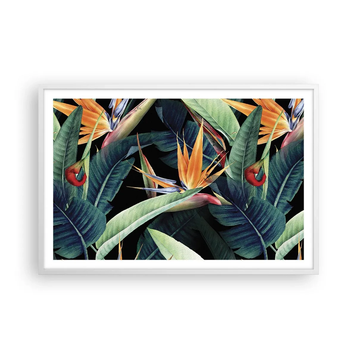 Poster în ramă albă - Florile de flacără ale tropicelor - 91x61 cm