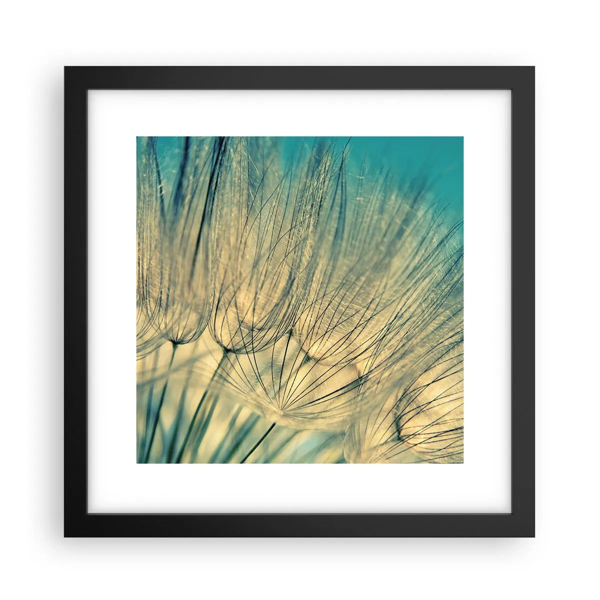 Poster în ramă neagră - Așteptând vântul - 30x30 cm