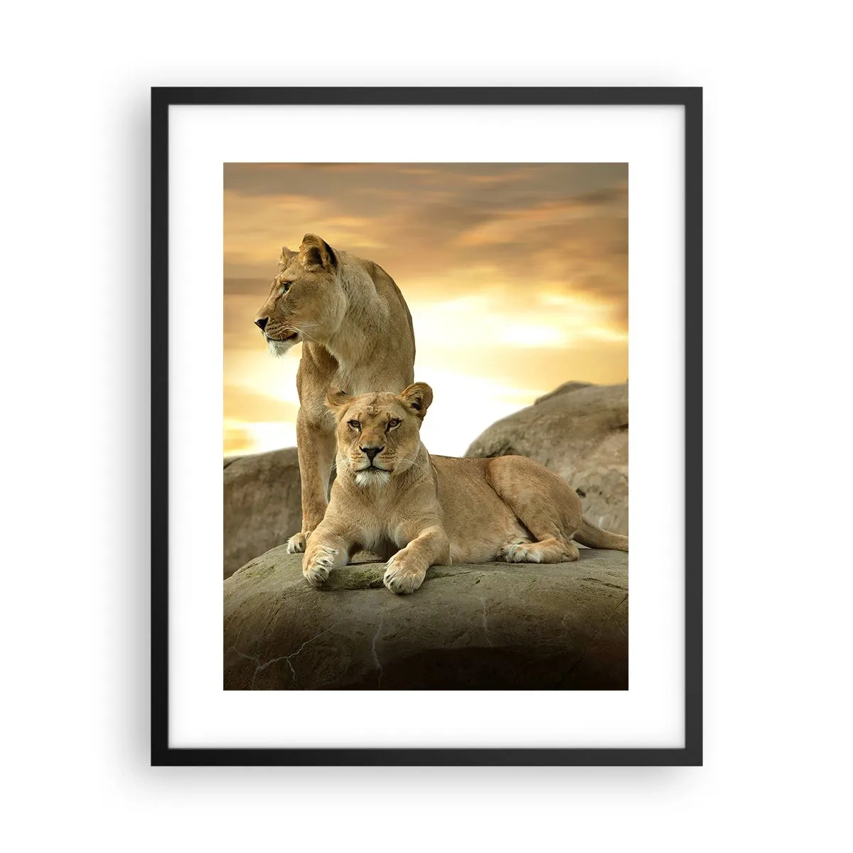 Poster în ramă neagră - Maiestate regală - 40x50 cm