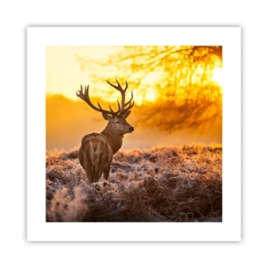 Poster - Regele pădurii de toamnă - 40x40 cm