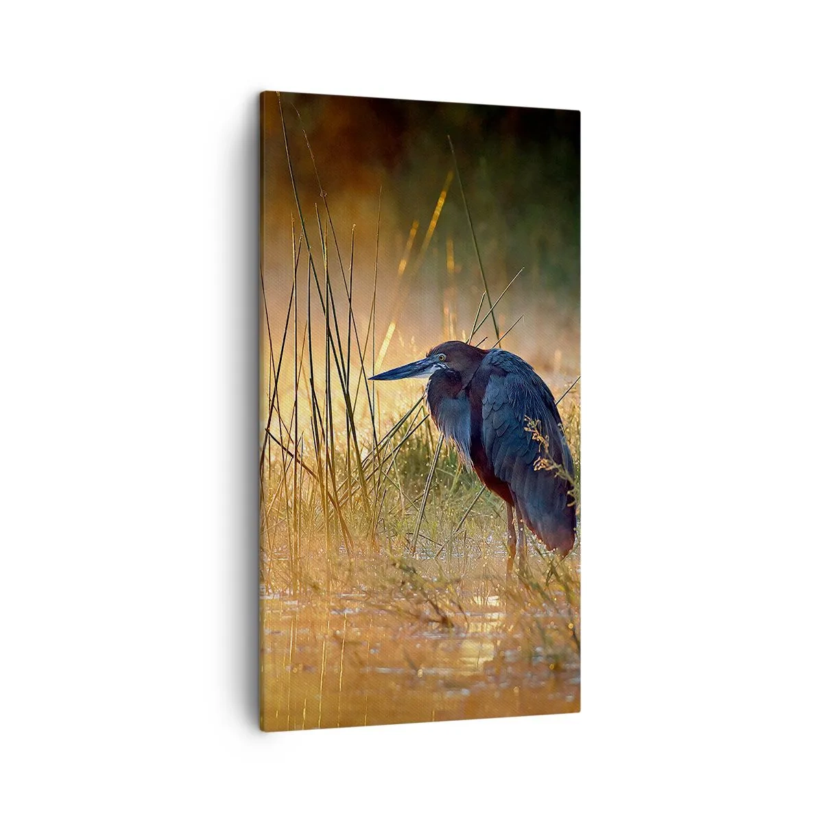 Tablou pe pânză - Lasă-mă în pace cu aceste fotografii - 45x80 cm