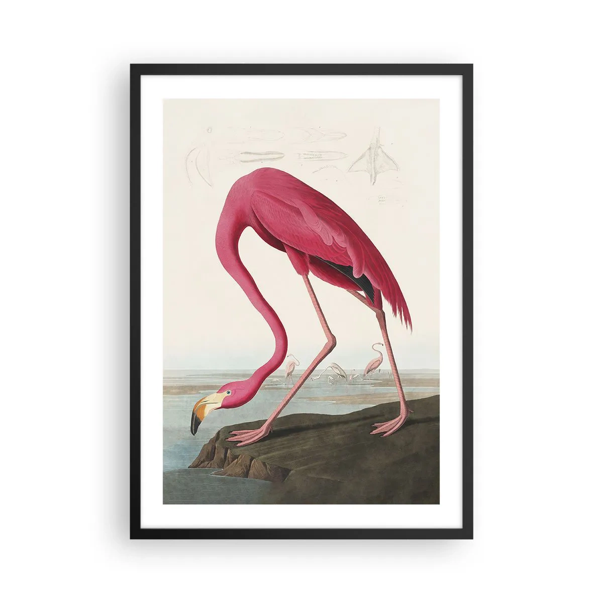 Poster în ramă neagră - Un flamingo roz pe fundalul unui peisaj natural - 50x70cm - O creatură uimitoare - Decorațiune modernă pentru perete pentru living și dormitor ARTTOR