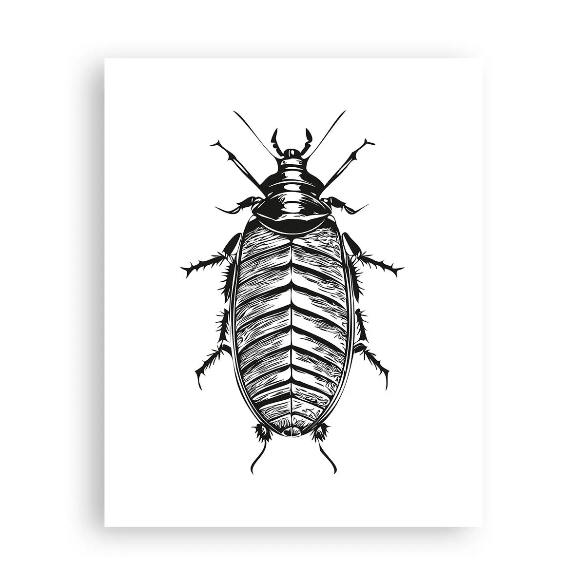 Poster - Ce specimen! - 40x50 cm