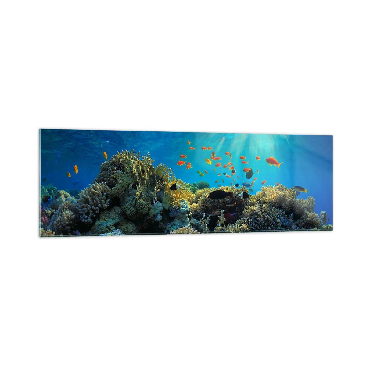 Tablou pe sticlă - Comori subacvatice - 160x50 cm